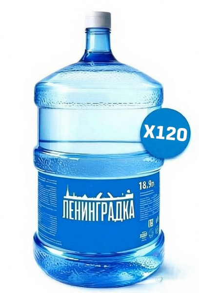 ПЕЙ Много Ленинградки (Годовая подписка БИГ)
